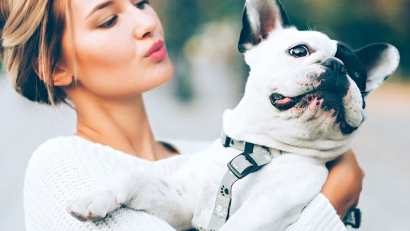 E’ vero che è meglio non abbracciare non baciare il Cane