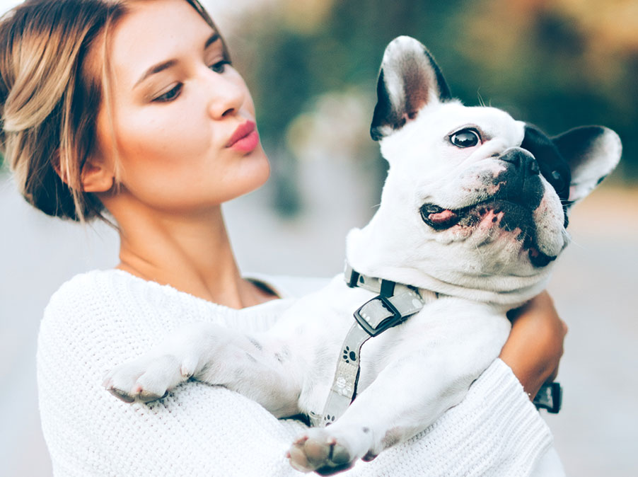 E’ vero che è meglio non abbracciare non baciare il Cane