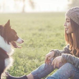 Il flusso di informazioni e comunicazioni dagli umani ai Cani