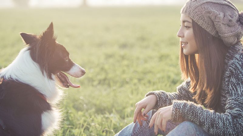 Il flusso di informazioni e comunicazioni dagli umani ai Cani