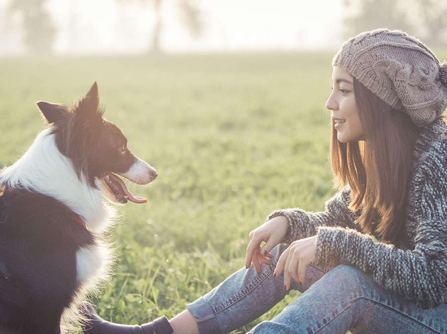Il flusso di informazioni e comunicazioni dagli umani ai Cani