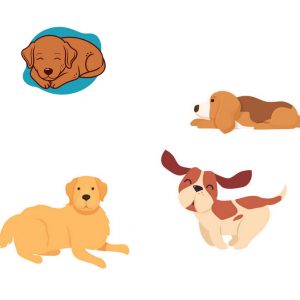 Come gestire al meglio la convivenza tra più Cani