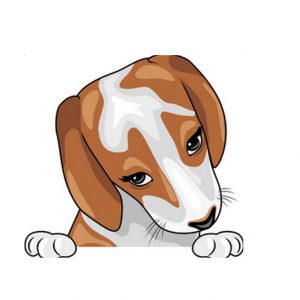Alla fine, la realtà è che i Cani hanno sempre ragione