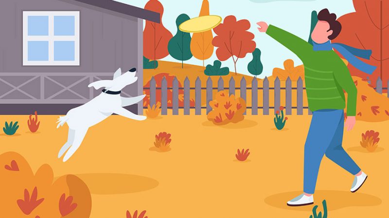 Vita con il Cane: Convinzioni e aspettative da rivedere