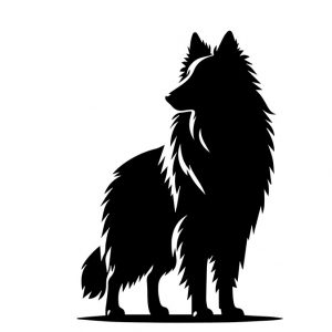 Perchè usare il rinforzo positivo e il metodo cognitivo