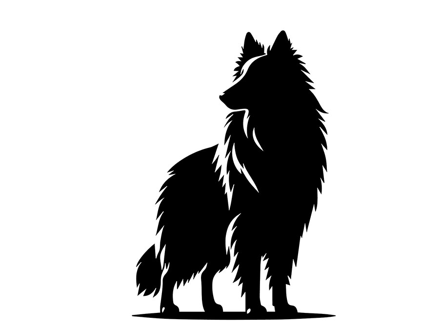 Perchè usare il rinforzo positivo e il metodo cognitivo