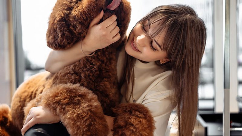 Il Cane morde quando i suoi segnali sono ignorati