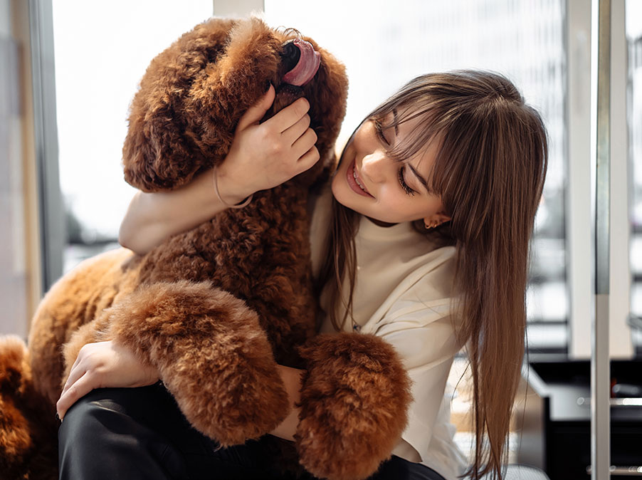 Il Cane morde quando i suoi segnali sono ignorati