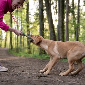 Cane: non chiedergli di obbedire, aiutalo a crescere