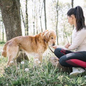 Perchè il metodo Montessori è giusto per i Cani