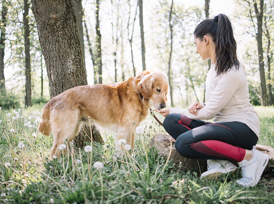 E se il metodo Montessori andasse bene anche per i Cani?