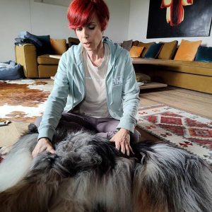 Cosa è e a cosa serve la massoterapia per i Cani