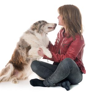 Alla fine sembra che i Cani preferiscono le donne