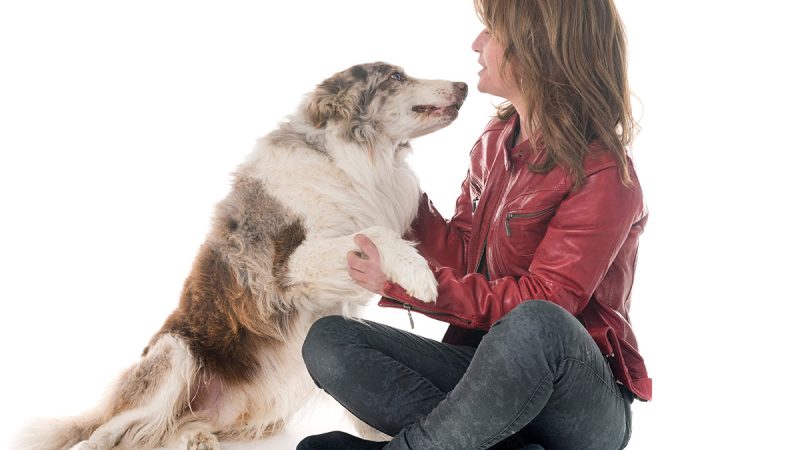 Alla fine sembra che i Cani preferiscono le donne