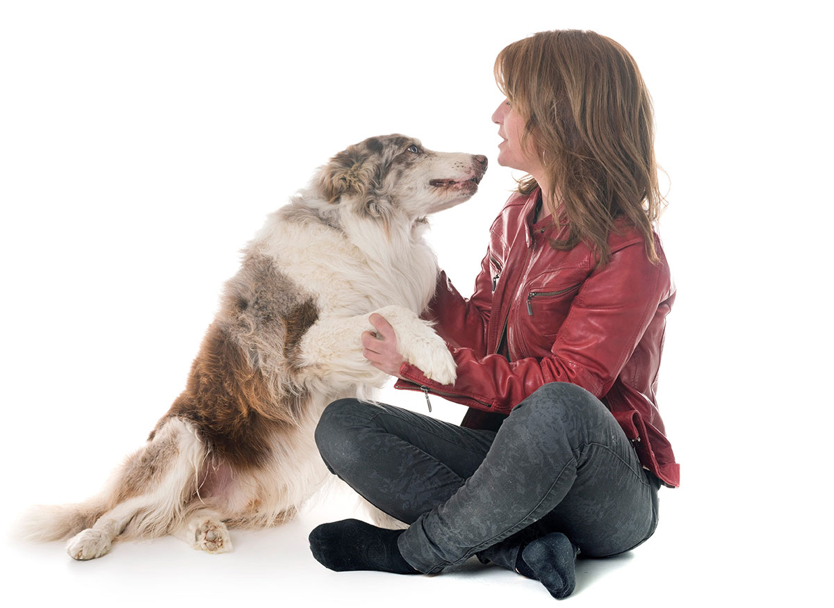 Alla fine sembra che i Cani preferiscono le donne